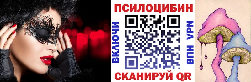 даркнет состав  Горно-Алтайск  Псилоцибиновые грибы Cubensis  где найти  